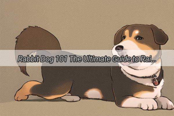 Rabbit Dog 101 The Ultimate Guide to Raising a Unique and Lovable Canine Companion